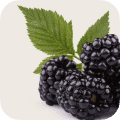 Blackberry